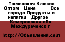 Тюменская Клюква Оптом › Цена ­ 200 - Все города Продукты и напитки » Другое   . Кемеровская обл.,Междуреченск г.